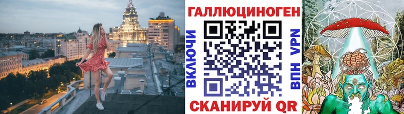 цена   Фурманов  Псилоцибиновые грибы Psilocybe 